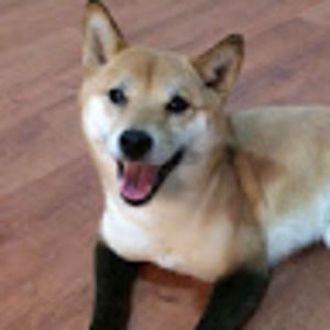 Meet your Posher, Ian